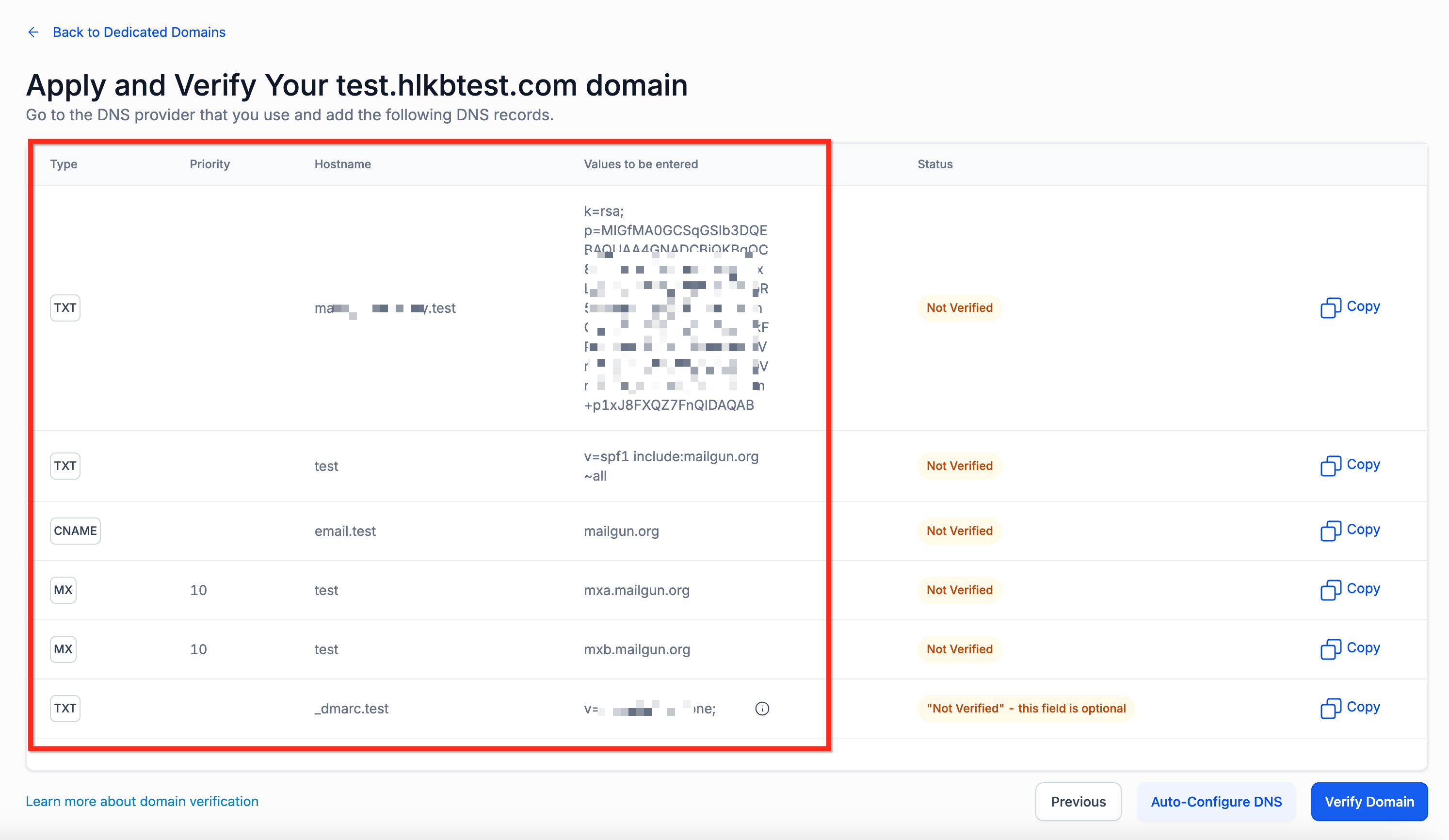 Manual DNS record entry example