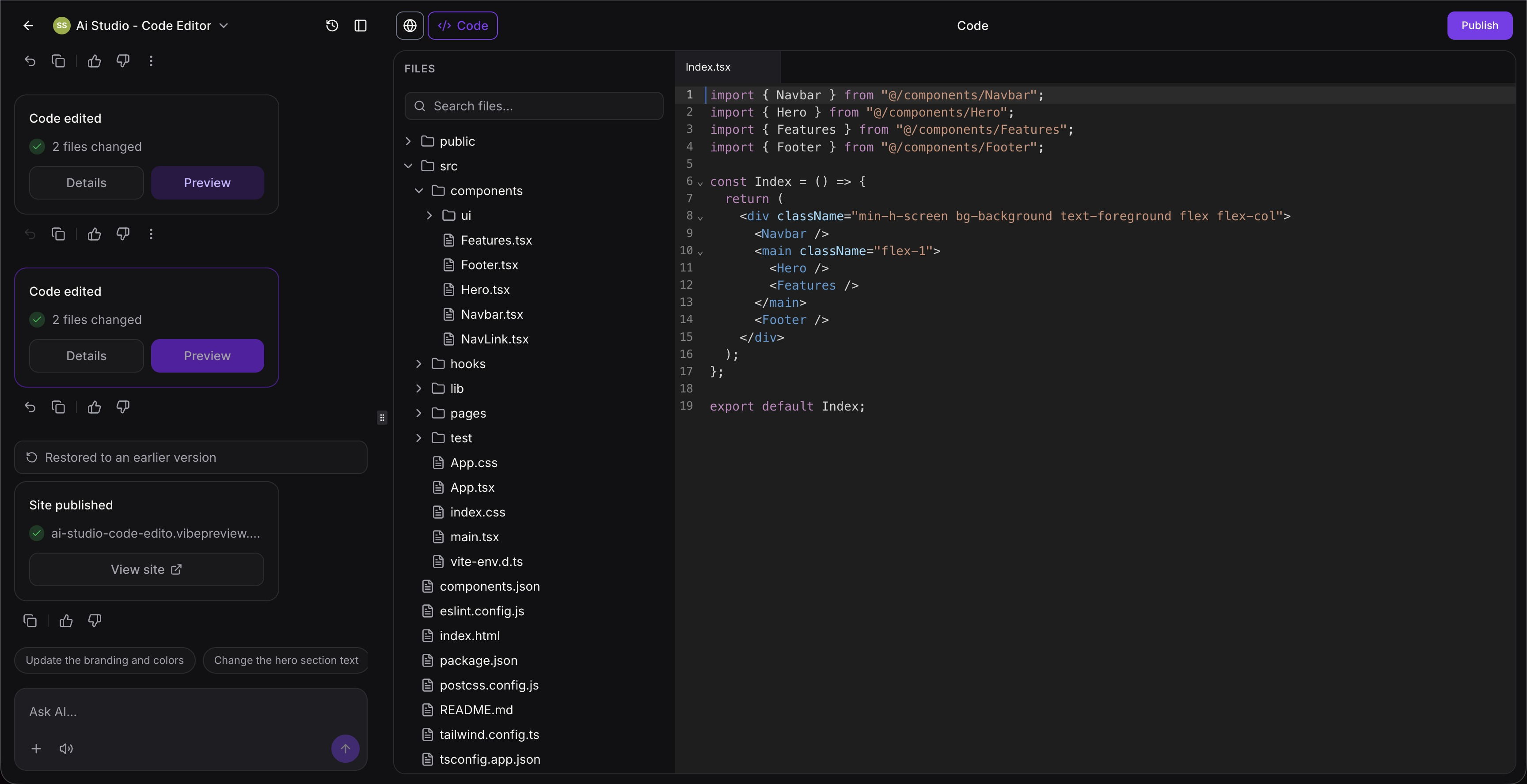 Code editor view inside AI Studio