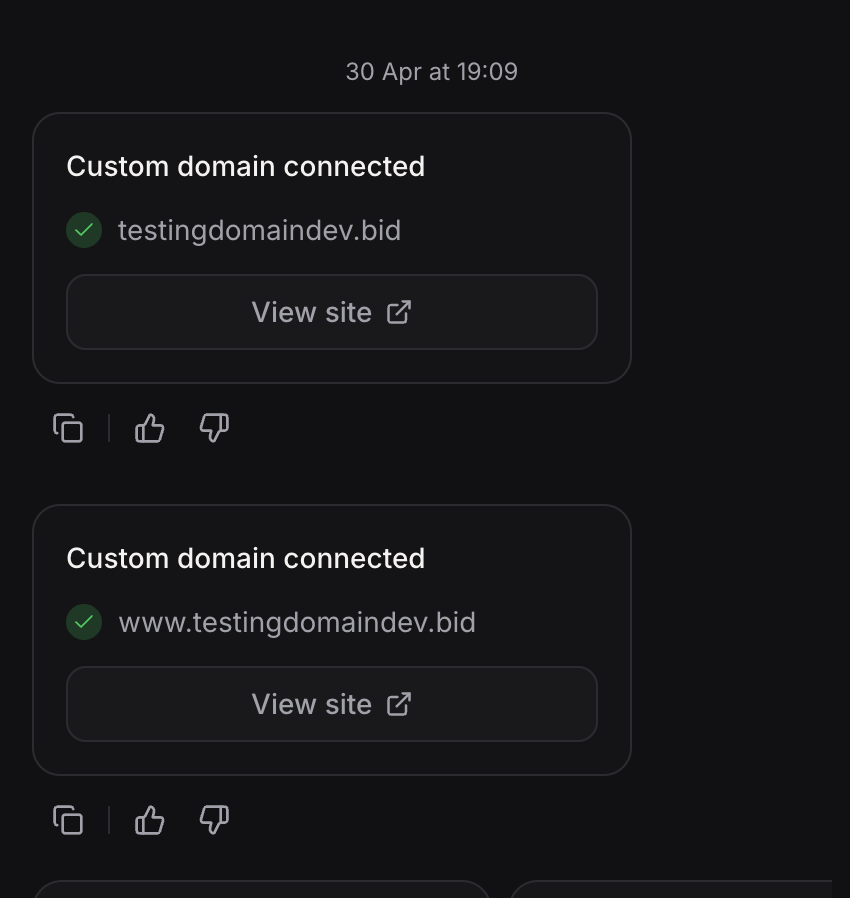 Custom domain successfully connected