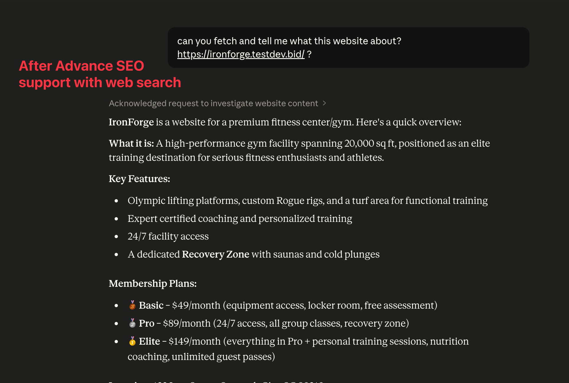 SEO settings overview for an AI Studio project