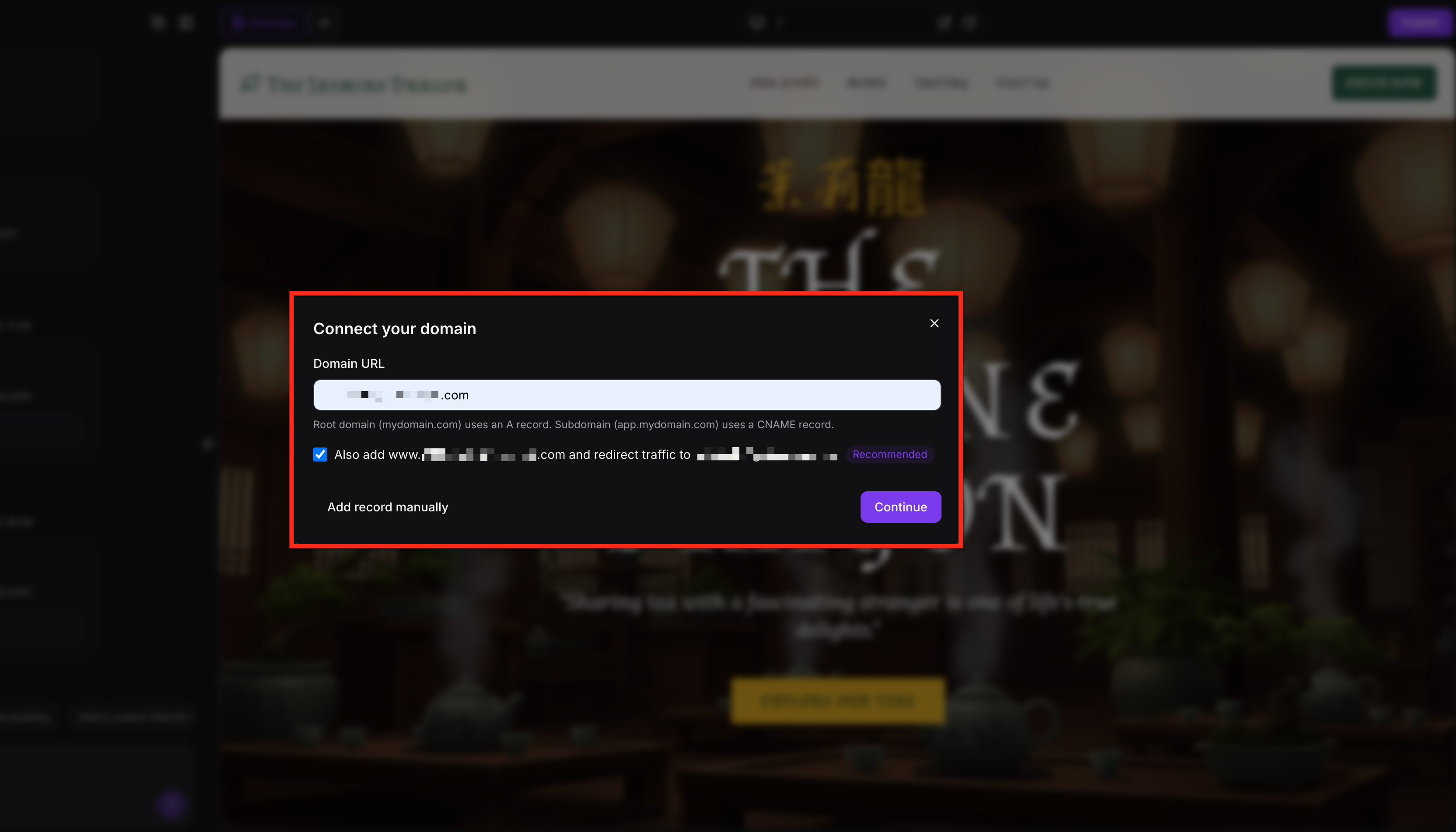 DNS record setup for custom domain in AI Studio