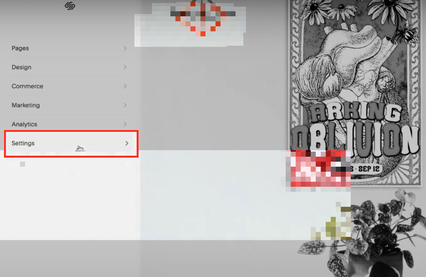 Squarespace Settings menu