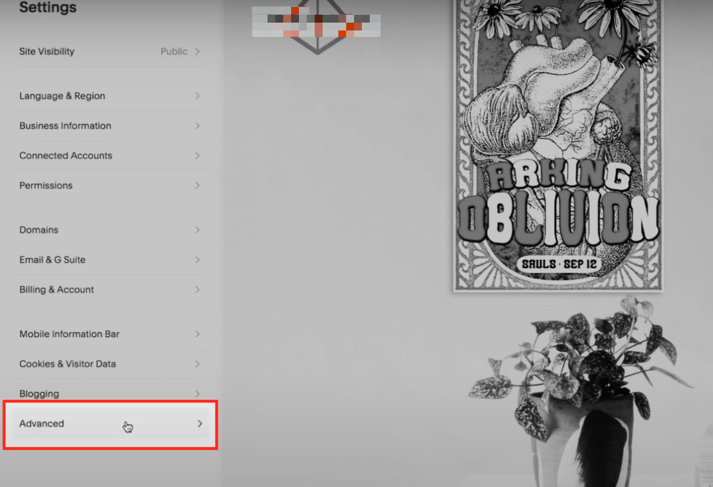 Squarespace Advanced settings — Code Injection option